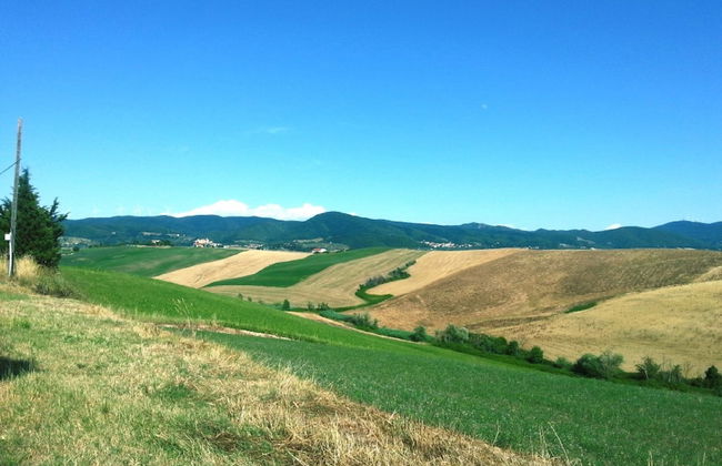 Residence Giuly Rosselmini - Foto 41