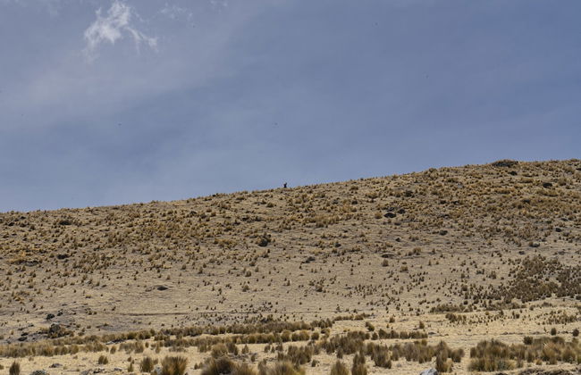 Andean Glamping - Foto 40