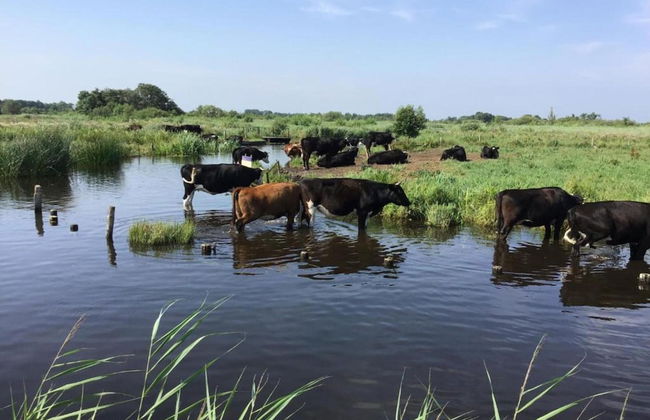Rustic-chic Villa With Thatched Roof - Photo 37