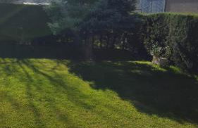 Aparta-Hotel Puertolas - Photo 34