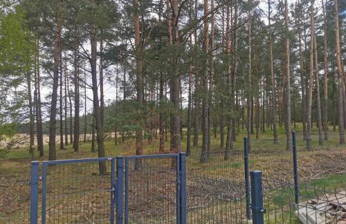 Osada Blanka Leśny Zakątek Jezioro Rzeka Swornegacie - Foto 20