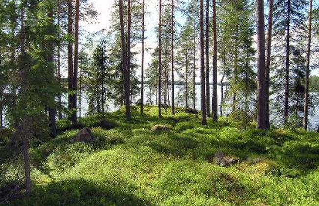 3 bedroom House in Pielavesi with sauna - Photo 8