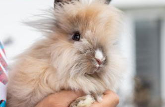 Loefflerhof - Photo 13