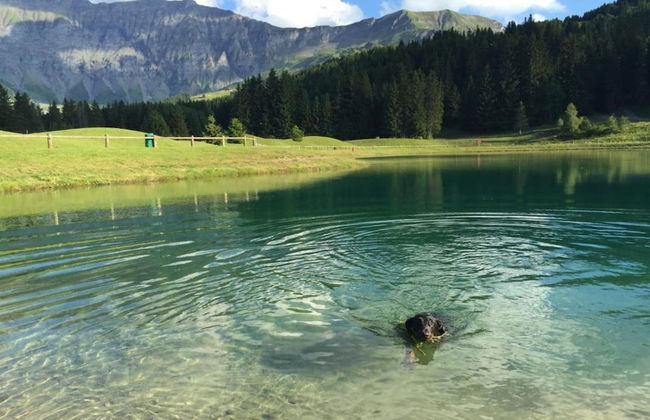 Chalet in Megeve With Mont-blanc Views - Photo 38