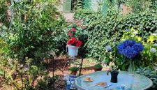 Casa di Rosa - Photo 2, Garden view
