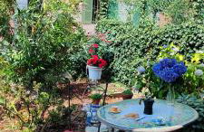 Casa di Rosa - Photo 2