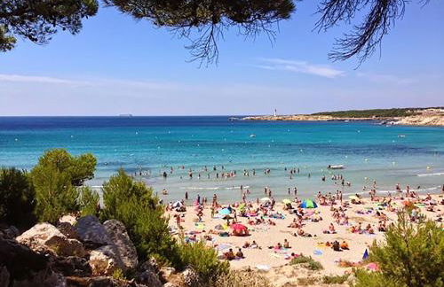 Un Petit Coin de Provence - Istres - Maison Contemporaine Avec Piscine Privée Chauffée, Entre Plages Et Provence, Borne 11 kW - Foto 43