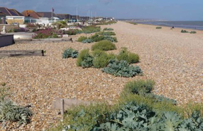 Ocean Front Beach House With Direct Beach Access - Foto 7