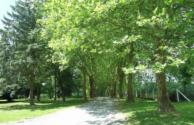 Cozy Escape in Bohon - Photo 31