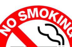 Gemütliches Apartment - Foto 22