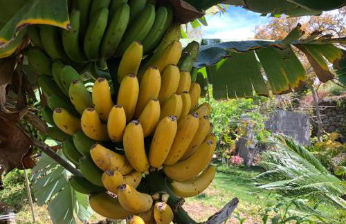 Taburiente - Foto 20