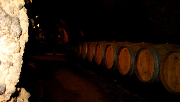 The Bekaa Valley Wineries - Photo 5