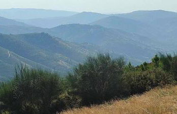 Estúdio acolhedor centro Vila Real - Photo 11