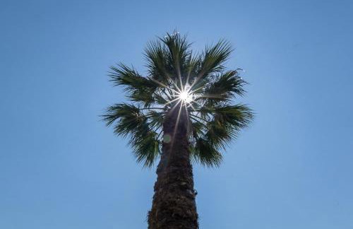 Katerina's Garden Mola Kaliva - Foto 10