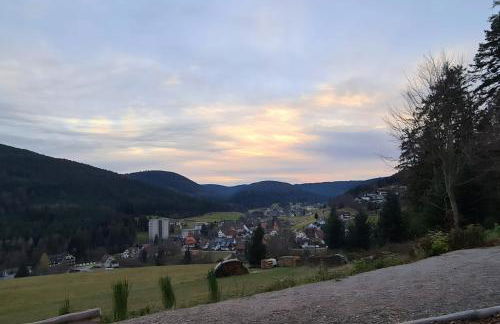 Rückzugsort mit Bergblick in Baiersbronn-Obertal - beheizter Wintergarten & kostenfreier Parkplatz - 70qm Ferienwohnung - Foto 18