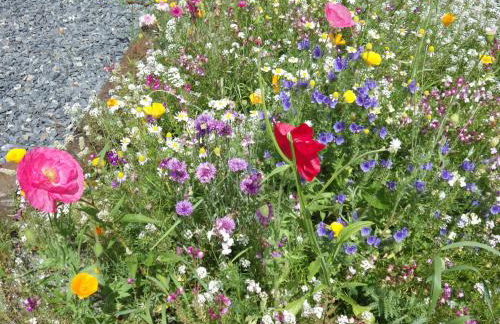 Chalet Oryx - Photo 45