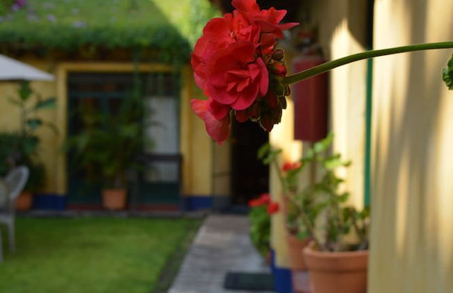 Cozy Casitas - Foto 29