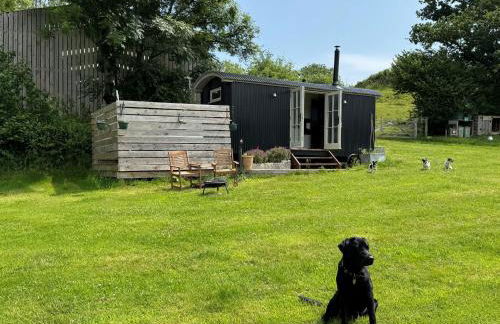 The Shepherds Snug - Photo 12