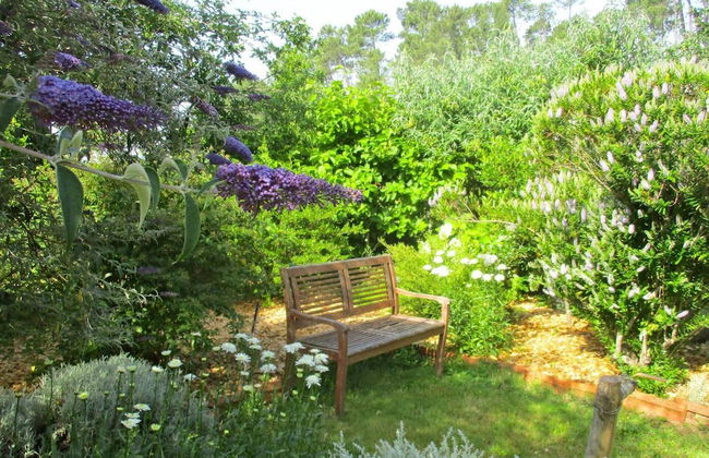 Charming Garden Retreat in Pedrogao Grande - Foto 18