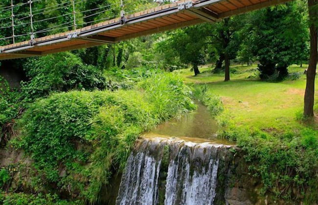 Botanical 21 Apartments - Photo 70