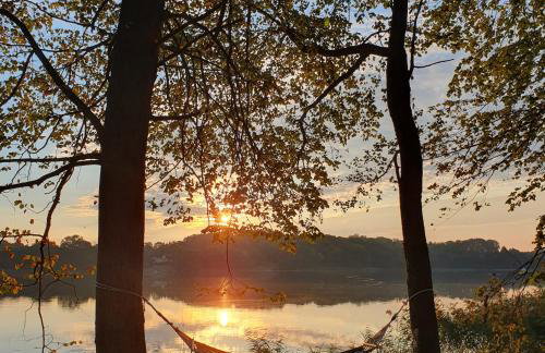 Bujanie w sitowiu - Foto 1
