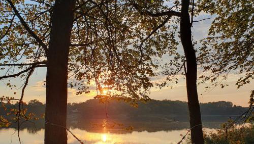 Bujanie w sitowiu - Foto 1, Garden