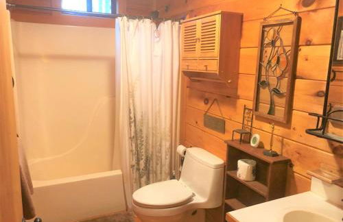 Little Bushy Head- Blue Ridge - Foto 11