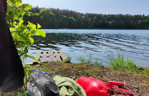 Vigor Horses - Foto 48