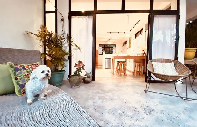 San Marcos Properties - Foto 58