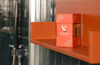 Vesuvius Palace Aparthotel - Foto 69