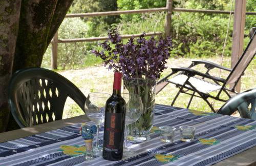 Casa Jacaranda - Foto 22