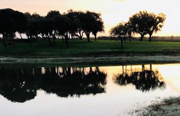 Monte do Lago, Pegões - Foto 27