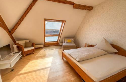 Apartment above the roofs of Biberach - Photo 11