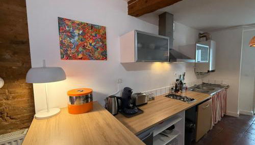 Appartement hyper-centre - Pont Neuf - St Cyprien - Foto 5, stove