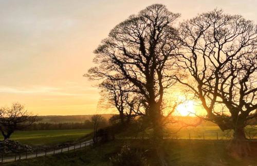 Lapwing Cottage - E5028 - Foto 9