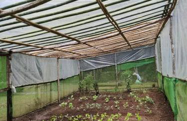 SITIO SIMPLESMENTE DEMAIS - Foto 51