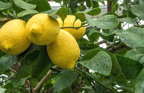 CasALE Sampó - Foto 32