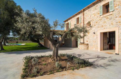 Finca Es Vidrier - Photo 3