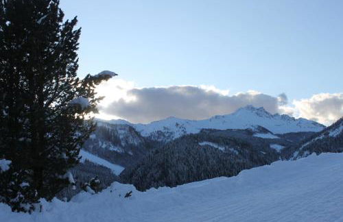 Hotel Rikhelan - Foto 24