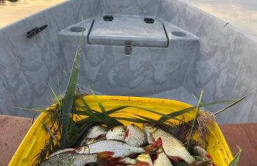 Nini House Giże - Foto 46