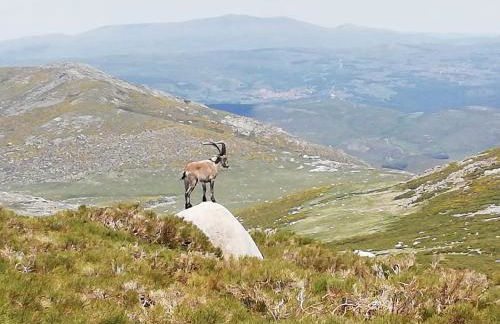 Casa Rural Refugio Los Perdigones - Photo 37
