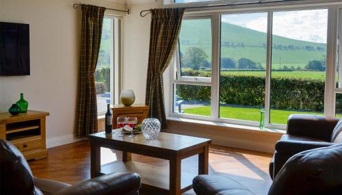 Auchen Ladder - Photo 4