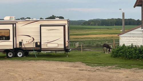 Yahweh Horse Retreat - Photo 2