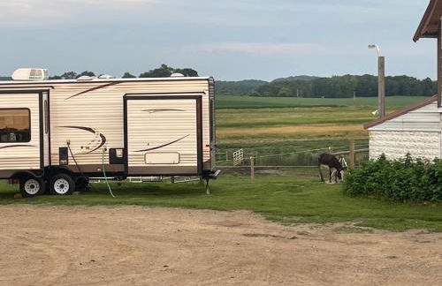 Yahweh Horse Retreat - Photo 2