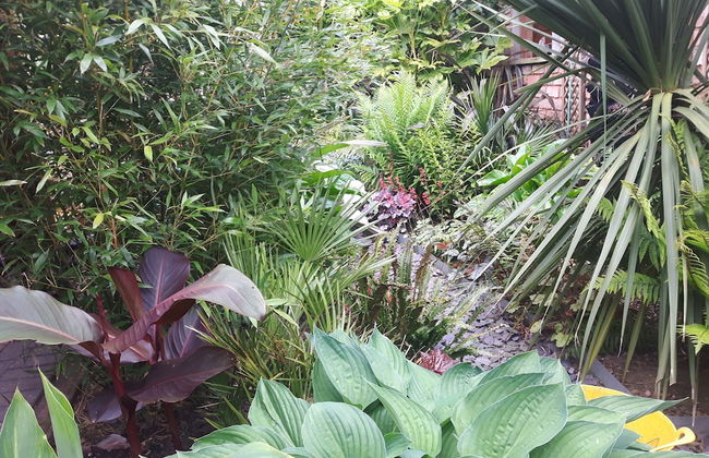 Cabin set in a Beautiful Romantic Tropical Garden - Foto 26