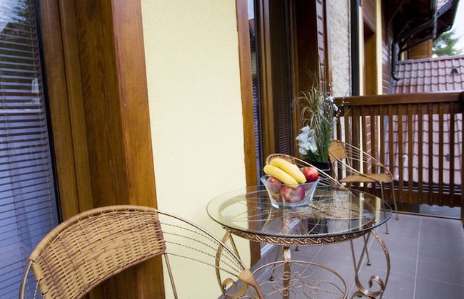 Vila Barović and Spa - Foto 28