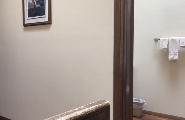 The Rushes - Foto 42