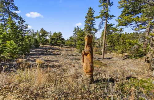 Lookout Lodge in Wondervu home - Foto 49