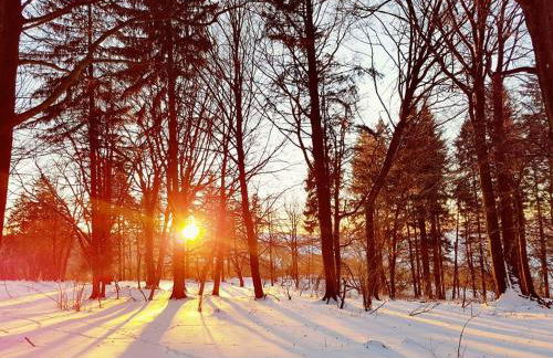 Ferienwohnung NatureOne - Foto 16