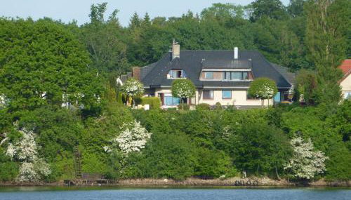 Fischreiher 2 - Foto 2